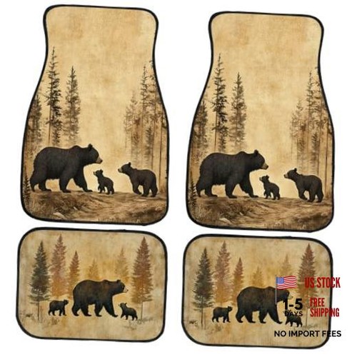 Car floor mats set old - car,